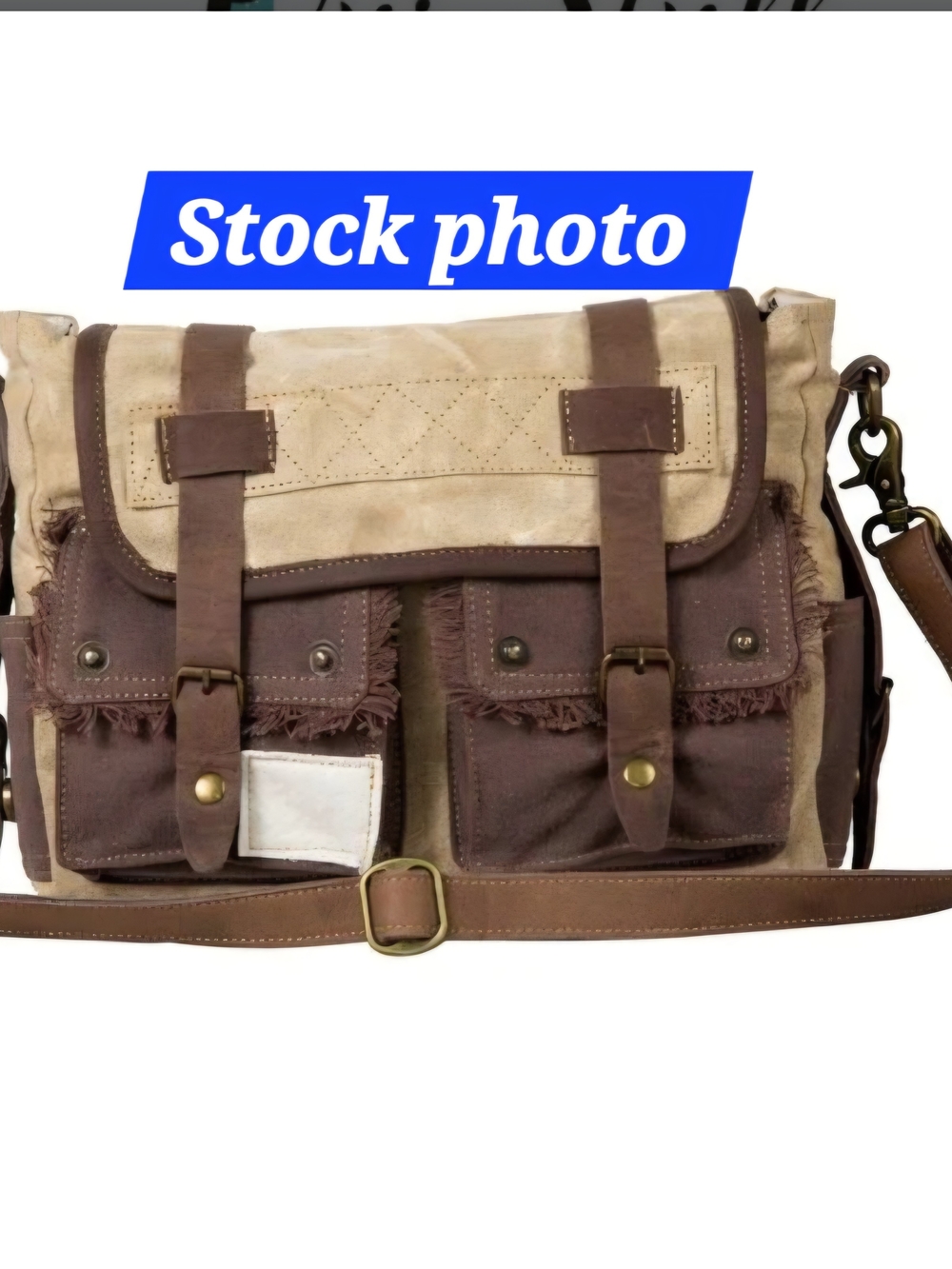 Myra Bag Two-Tone Canvas & Leather Satchel - Beige & Brown